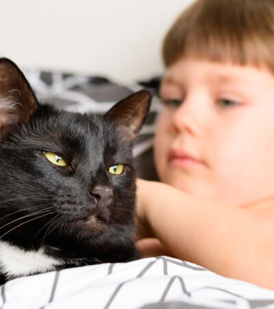 Untitled-1 Untitled-1