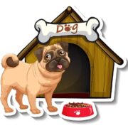 Importing Dog Food to Bangladesh – 3S Impex