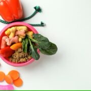 Simplifying Pet Food Importing – 3S Impex