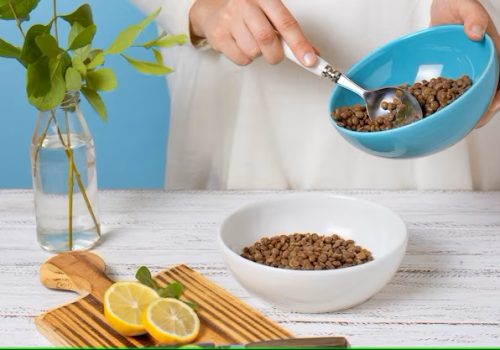 Managing Dog Food Allergies